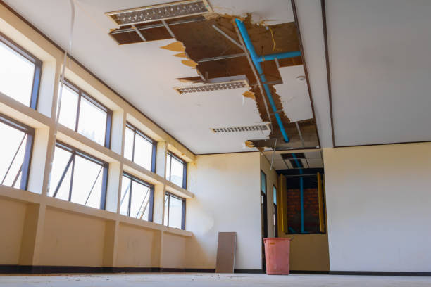 Best Water damage contractors near me  in Mustang, OK